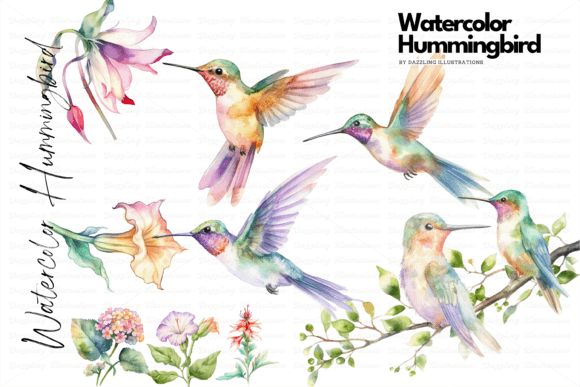 Download Watercolor Hummingbird Set with Flowers - Flowers Collection