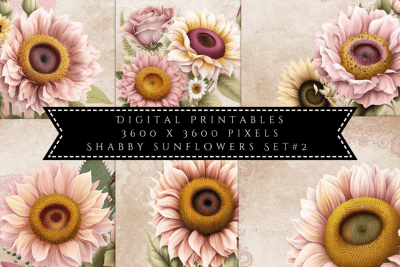 Download Shabby Sunflowers Illustrations Set 2 - Flowers Collection