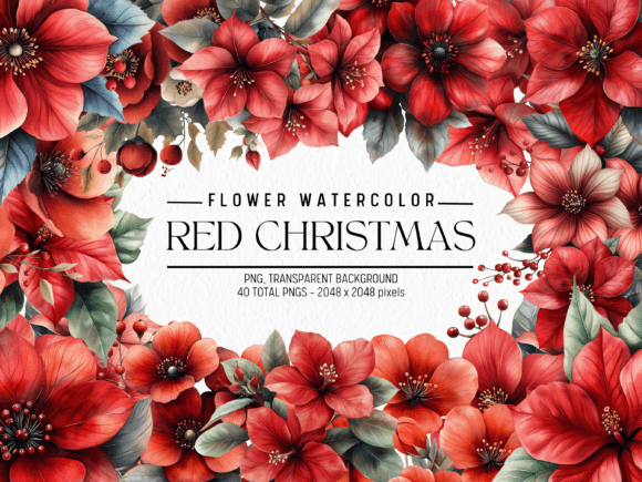 Download Red Christmas Watercolor Flowers - Flowers Collection