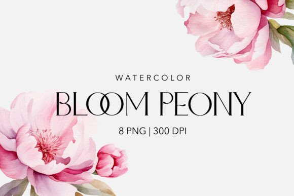 Download Watercolor Peony&amp;Magnolia Flowers - Flowers Collection
